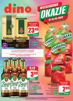 Okładka gazetki Dino