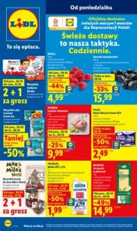 Okładka gazetki Lidl