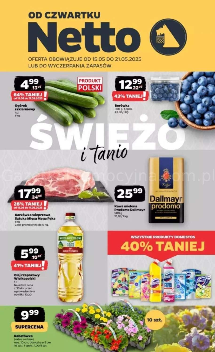 kwiaty doniczkowe
