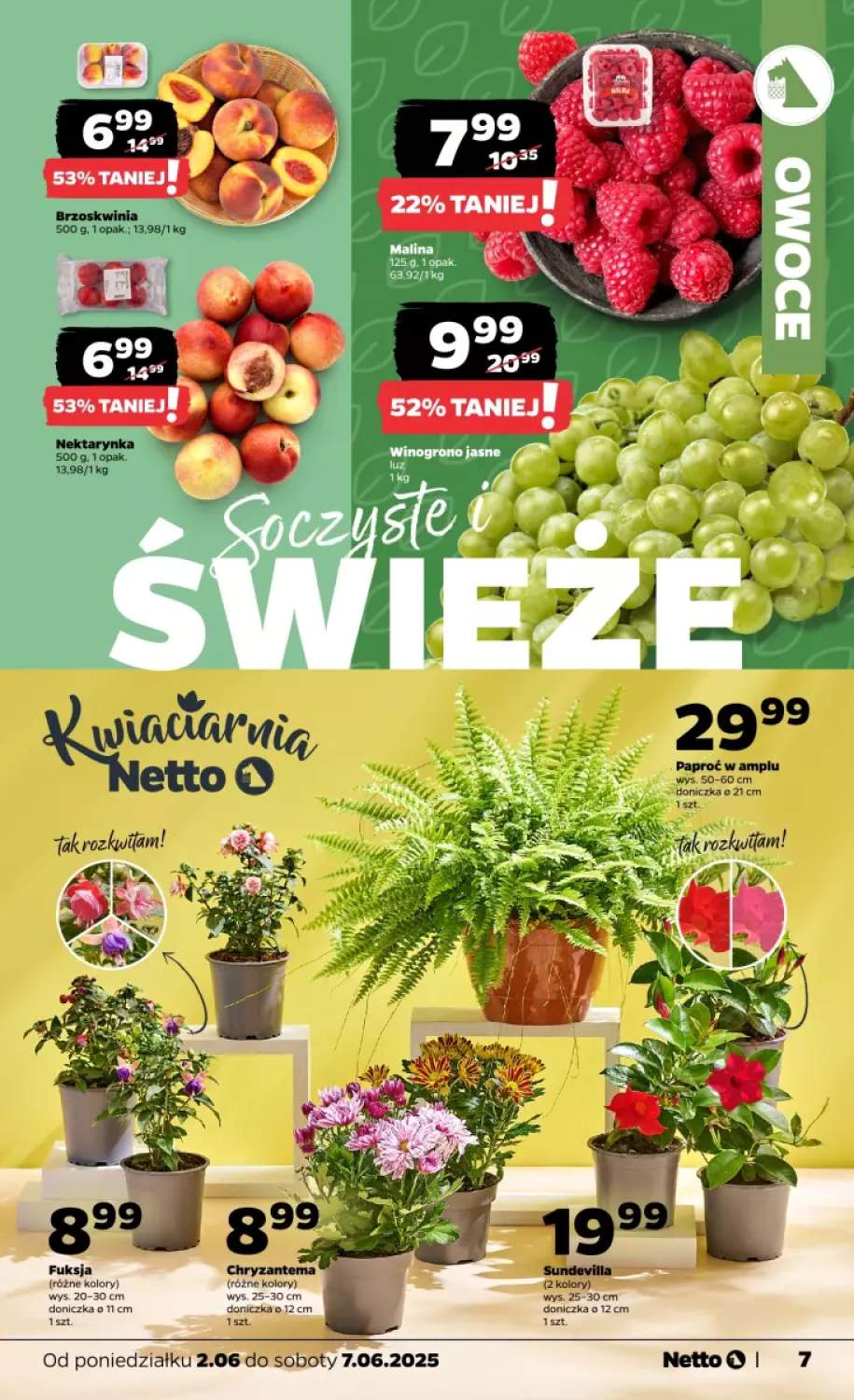 paproć