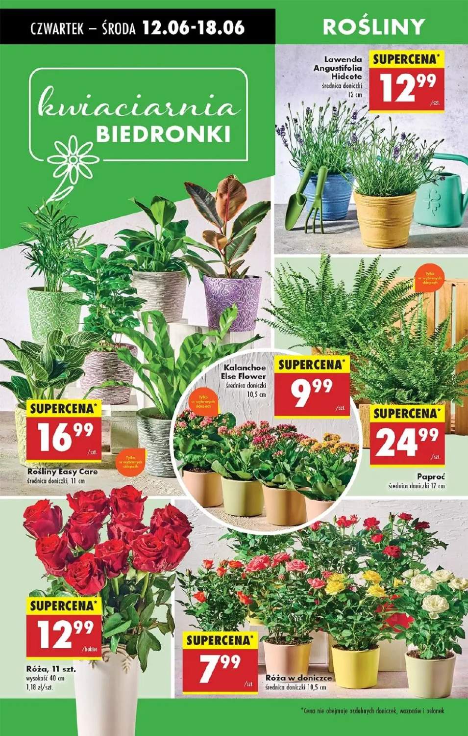 róże bukiet