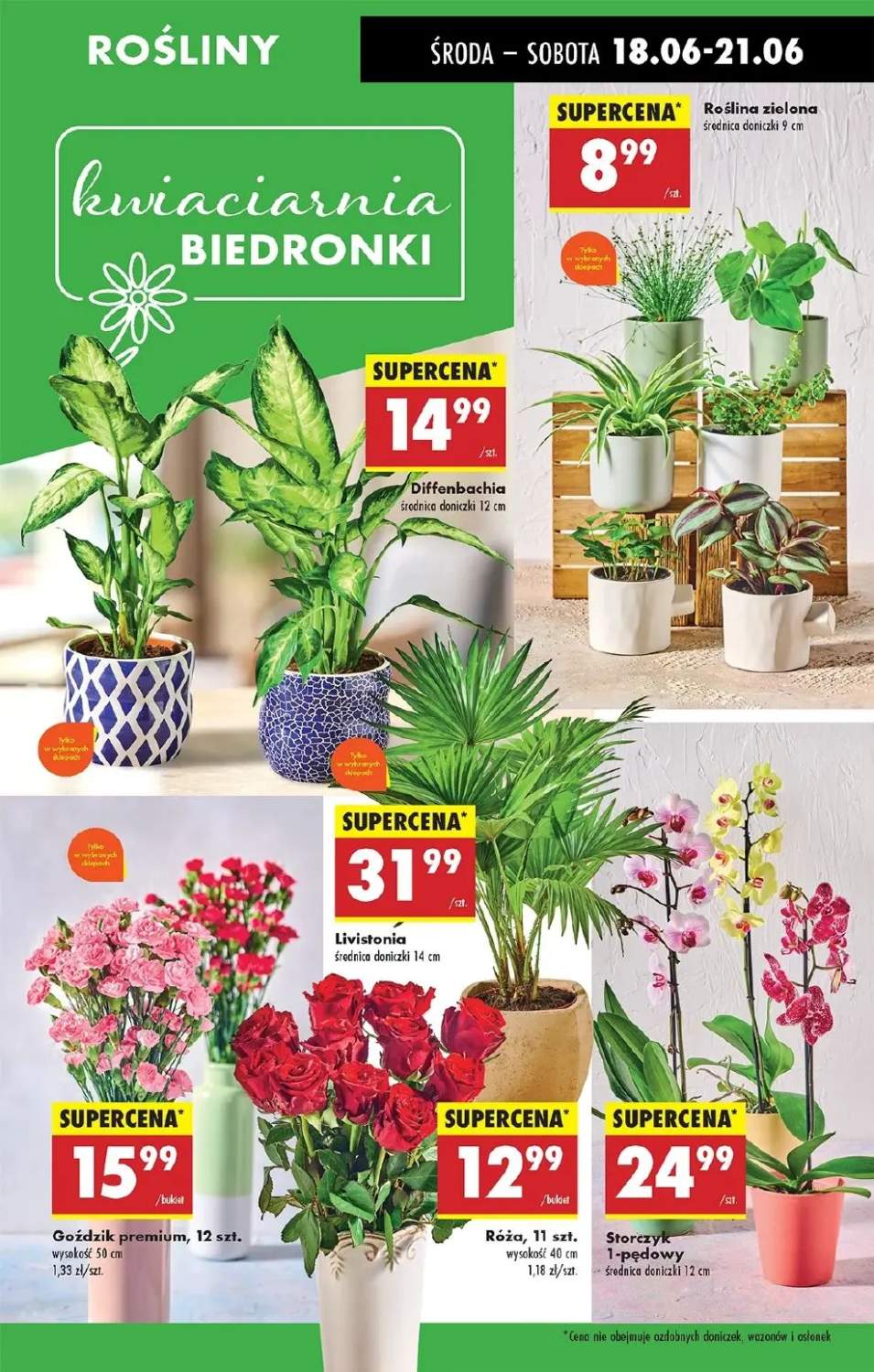 rośliny doniczkowe