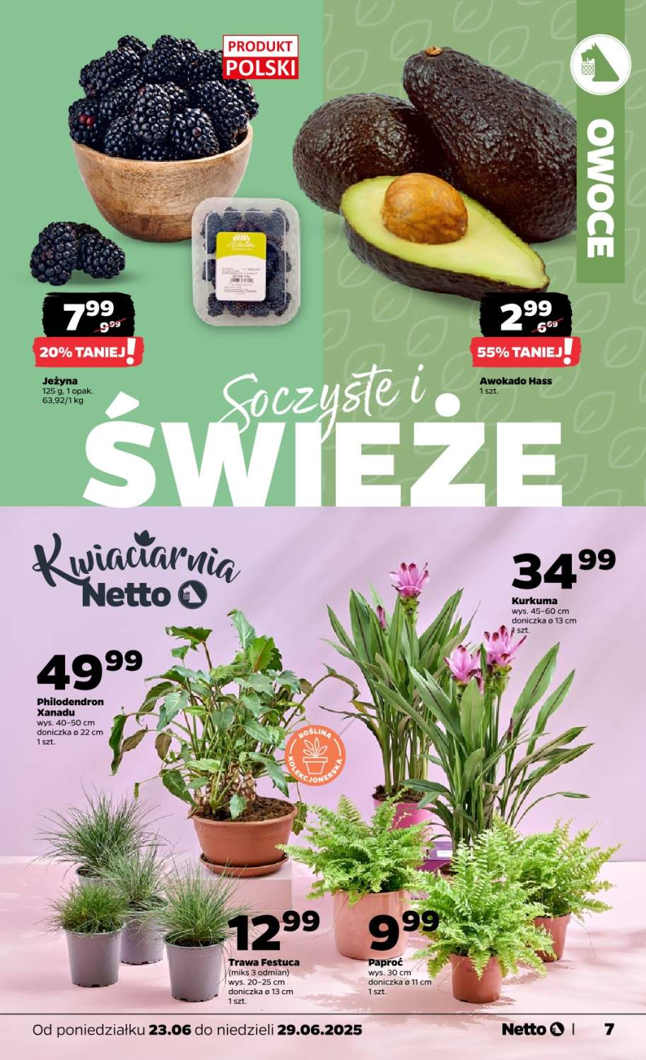 paproć