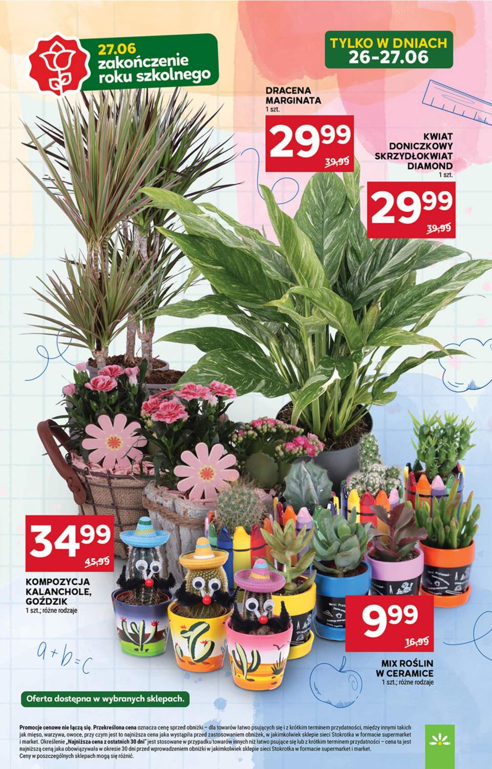 dracena