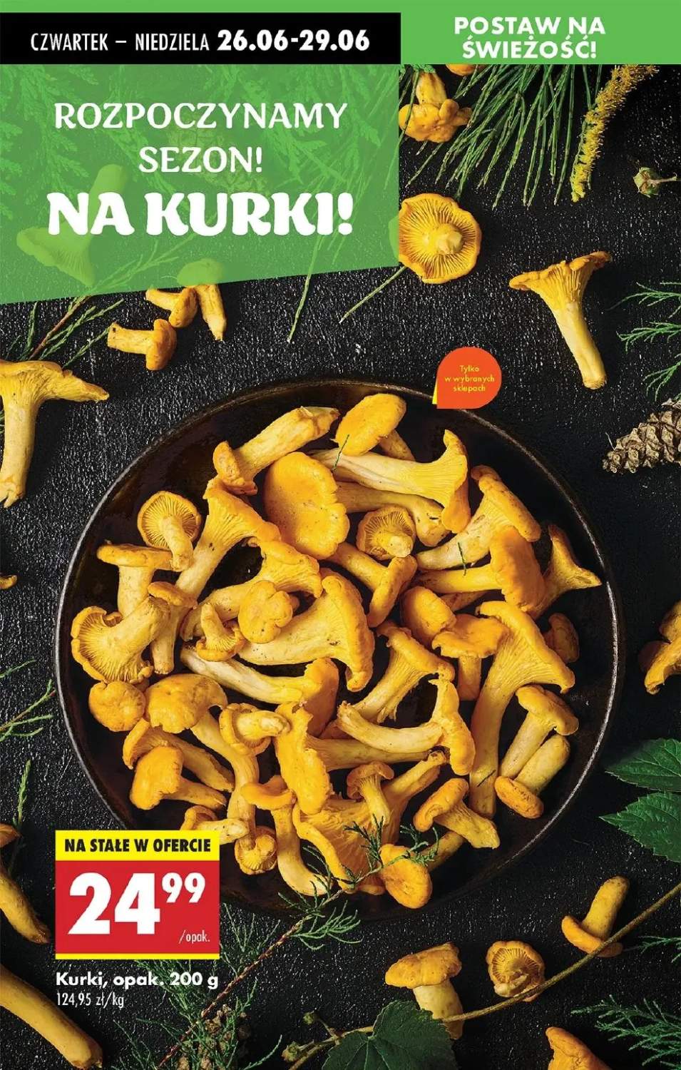 kurki