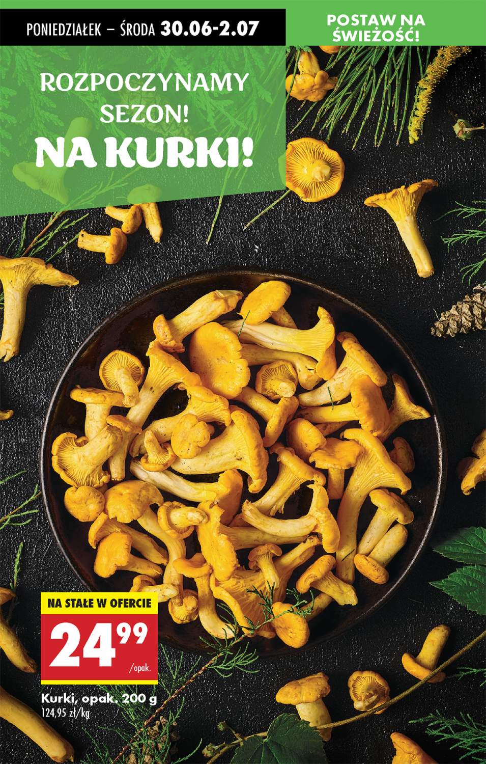 kurki