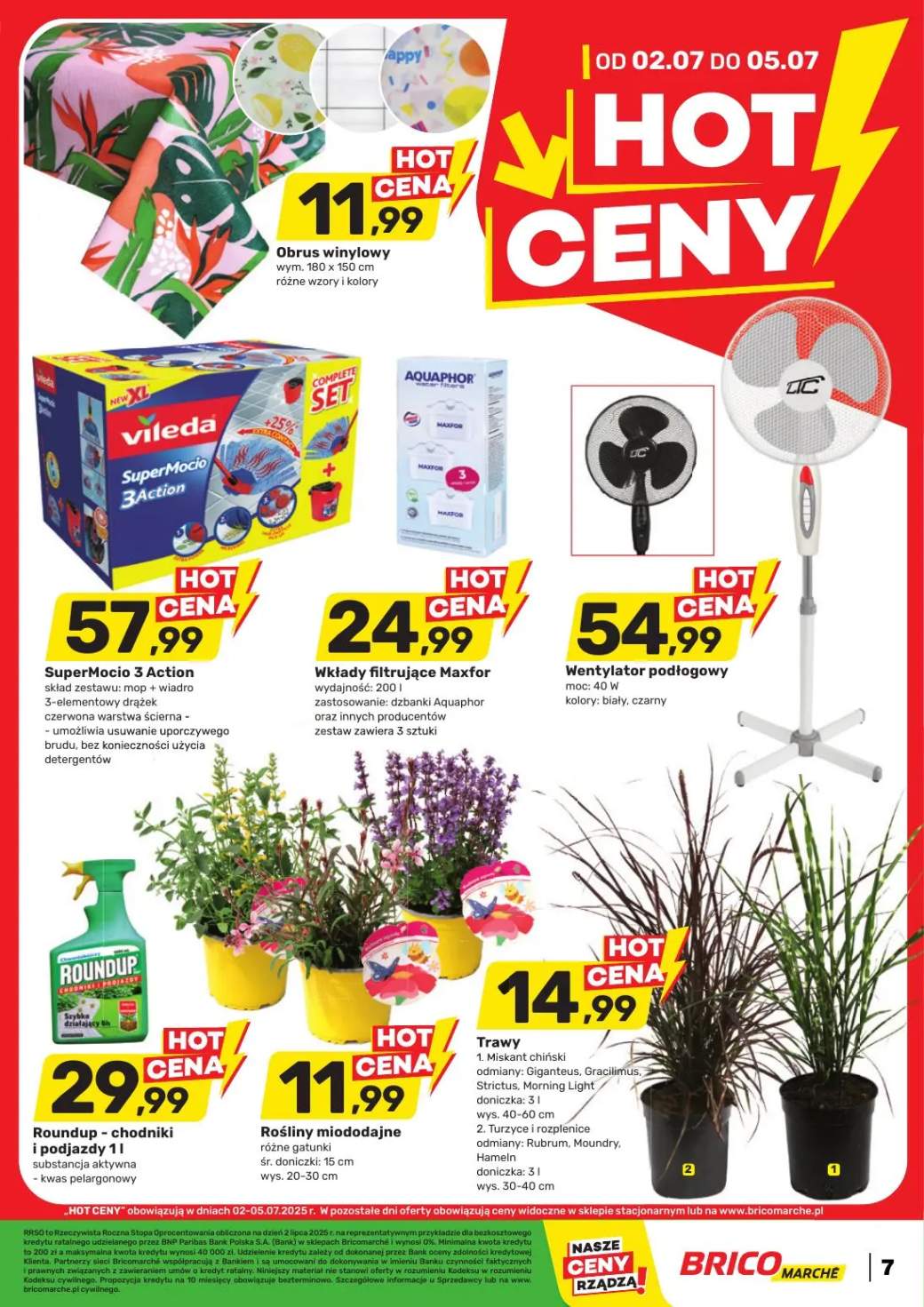 kwiaty doniczkowe