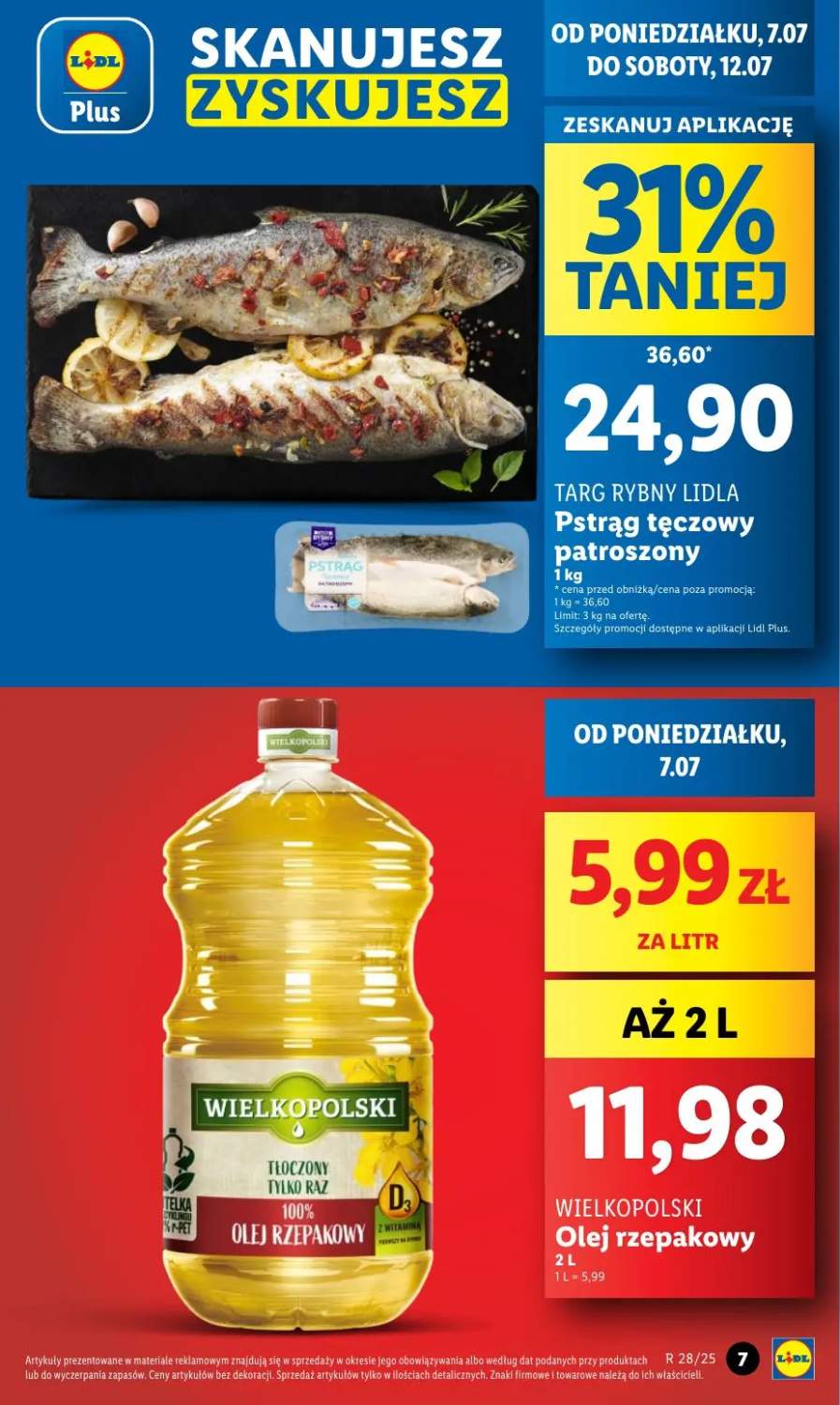 pstrąg tęczowy