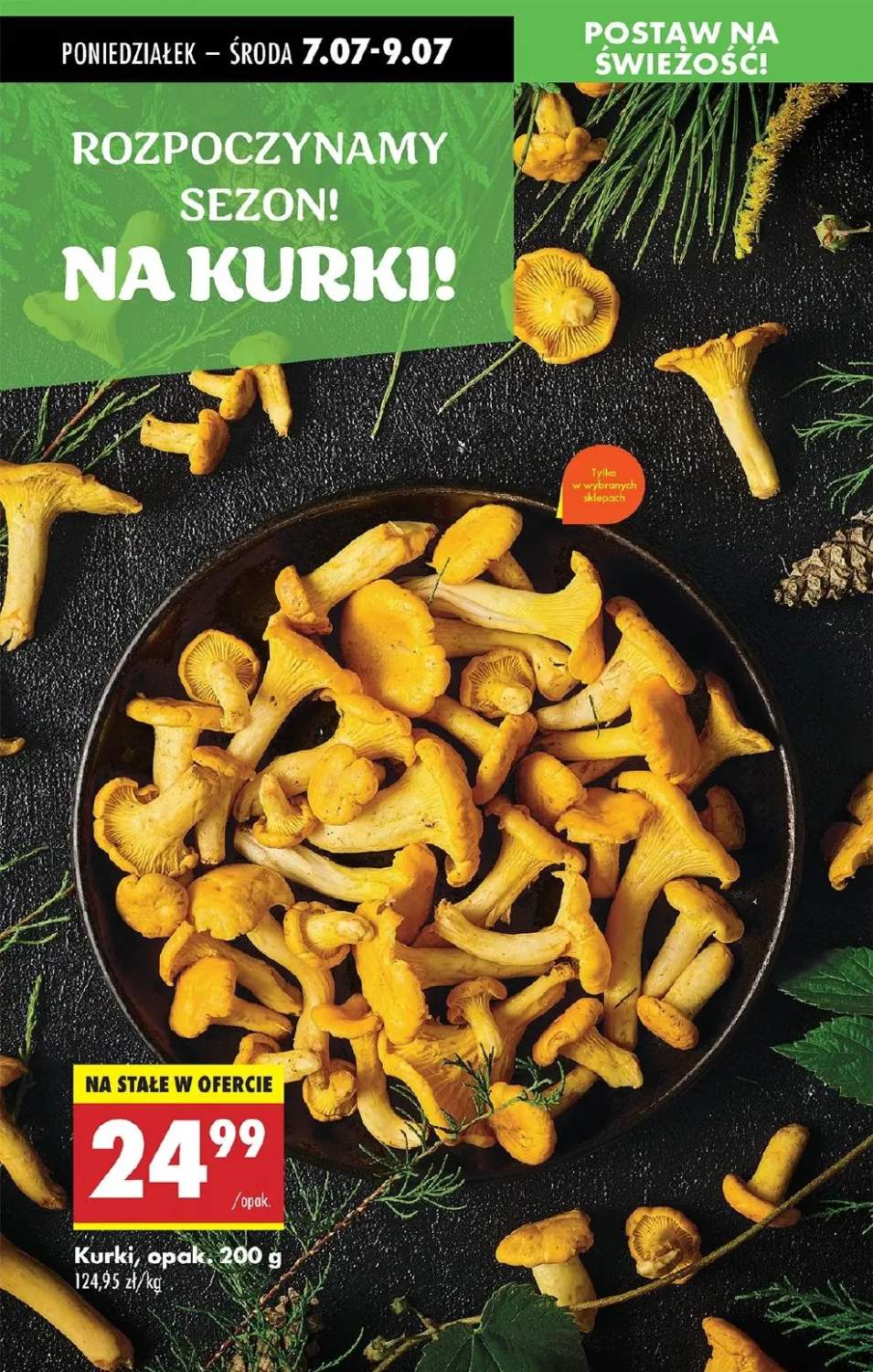 kurki