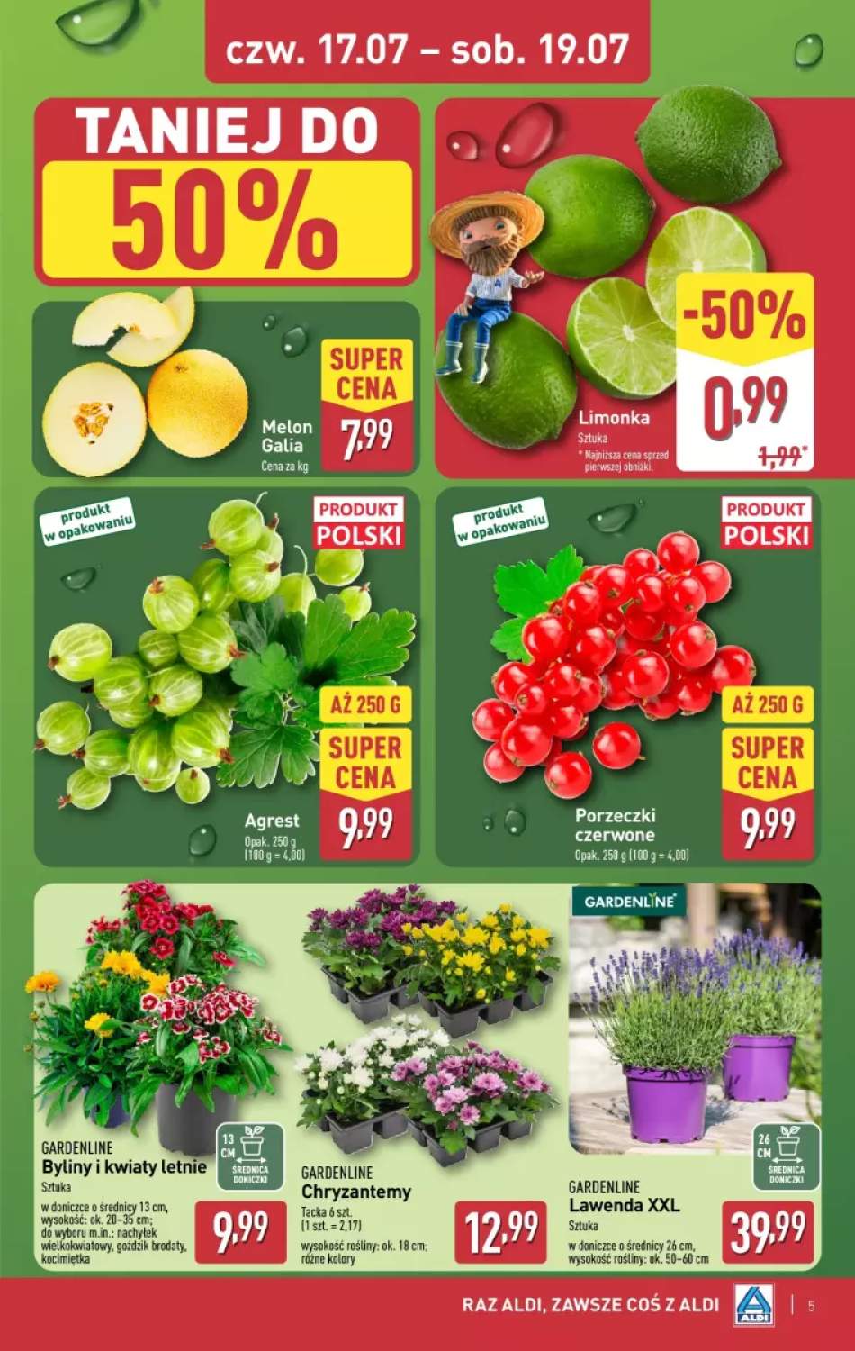 porzeczka czerwona